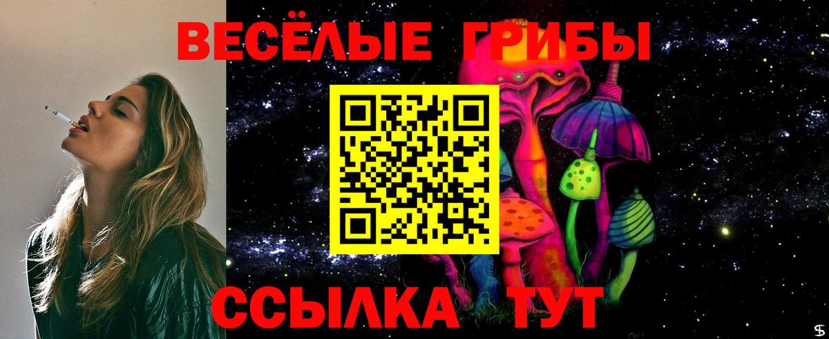 Галлюциногенные грибы Psilocybe Борисоглебск